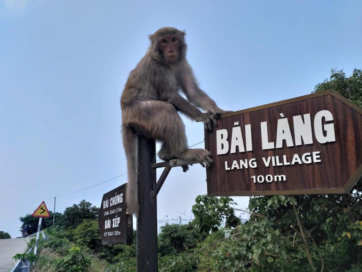 Monkeyland Cham Island Homestay Tan Hiep  ภายนอก รูปภาพ